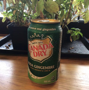 CANADA DRY - CAN - 355ML